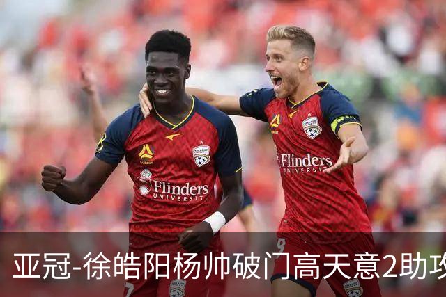 亚冠-徐皓阳杨帅破门高天意2助攻 申花2-1淡滨尼流浪者